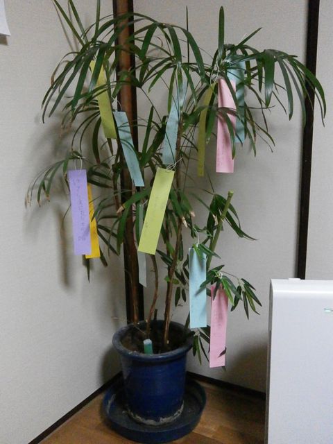 f0130894_21575273.jpg