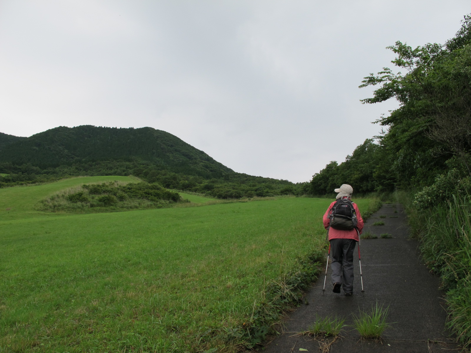 梅雨の花しっとりと倉木山　2013･6･23（日）　くもり～雨_a0166196_1644156.jpg