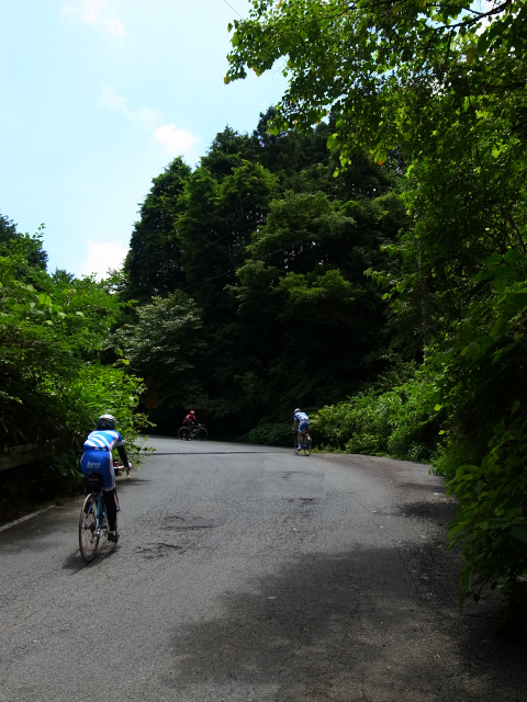 d0081997_22142037.jpg