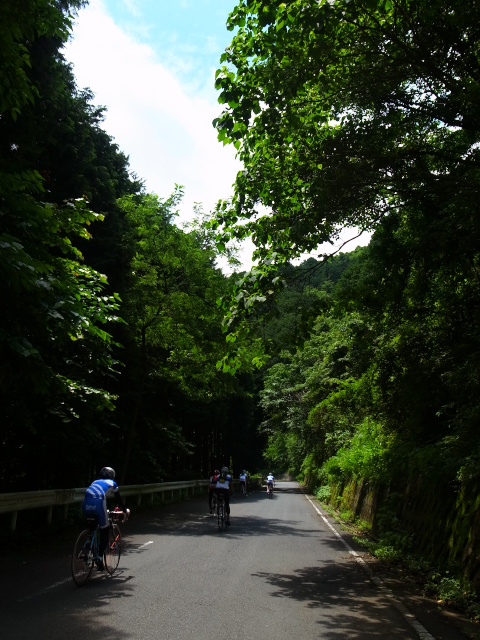 d0081997_2216735.jpg