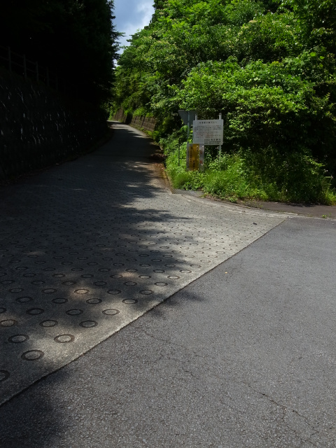 d0081997_2265982.jpg