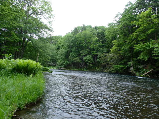 d0257201_4151011.jpg