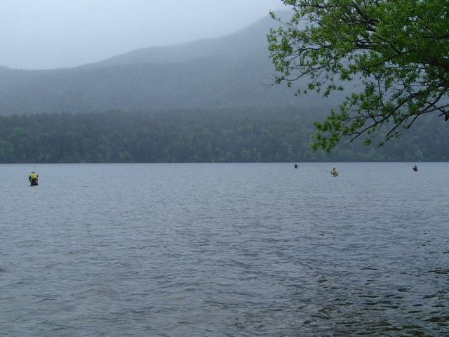 d0257201_47824.jpg