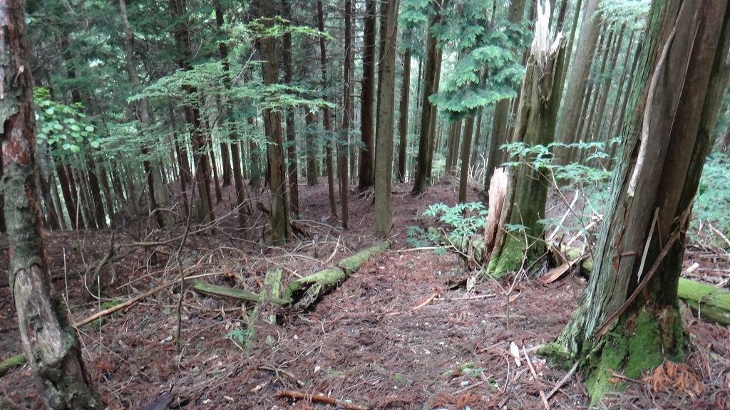 オコヤトコに　新しい橋ルート　　と　中津山　 （なかつやま）　徳島_b0124306_0263484.jpg