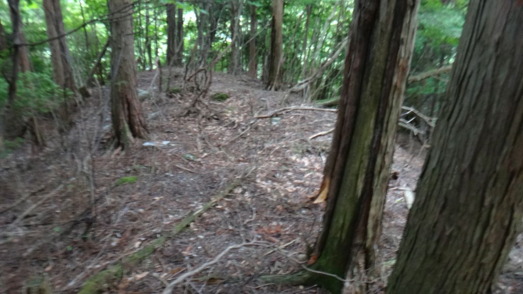 オコヤトコに　新しい橋ルート　　と　中津山　 （なかつやま）　徳島_b0124306_07434.jpg