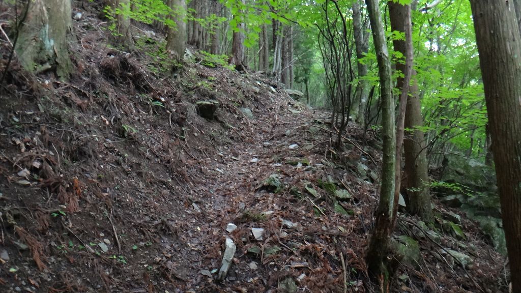 オコヤトコに　新しい橋ルート　　と　中津山　 （なかつやま）　徳島_b0124306_1882362.jpg