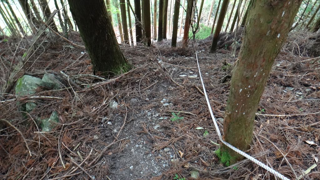 オコヤトコに　新しい橋ルート　　と　中津山　 （なかつやま）　徳島_b0124306_94023.jpg