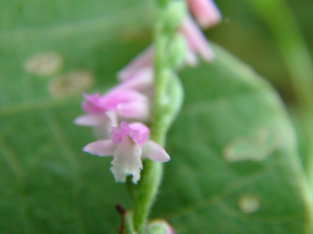 f0231709_710262.jpg
