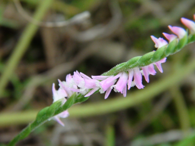 f0231709_755591.jpg