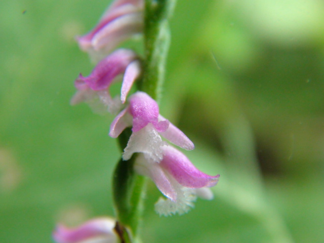f0231709_791025.jpg