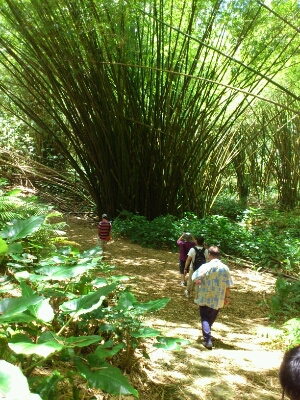 c0207113_039340.jpg