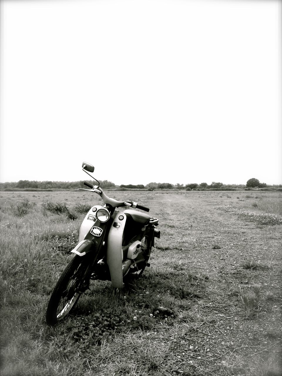 f0197414_20231636.jpg