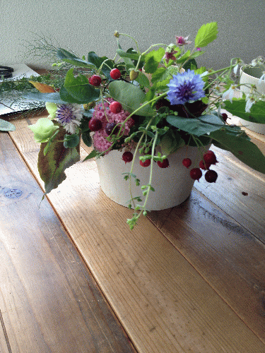 平井かずみサン 草花をしつらう ワークショップ 終了致しました_a0251920_14502460.gif