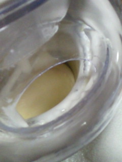 c0038424_8275886.jpg