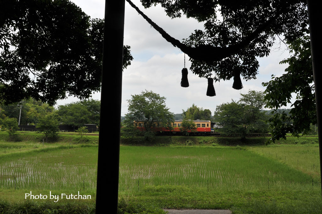  【速報】のどかなプチオフ会 on 小湊鐵道 & いすみ鉄道_a0158226_0144434.jpg