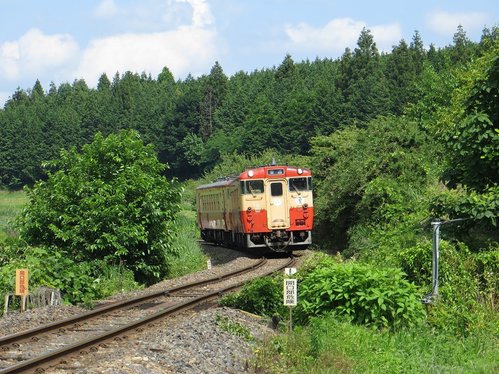 夏色の烏山線_d0121626_19124671.jpg