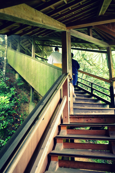 「福岡・糸島 千如寺(せんにょじ)大悲王院」_a0000029_16491160.jpg