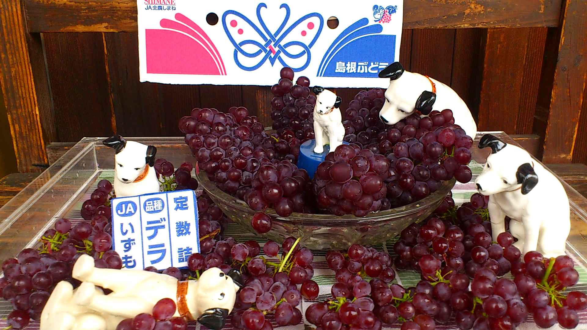 「いいづかブドウ祭り!」_b0197533_1151480.jpg