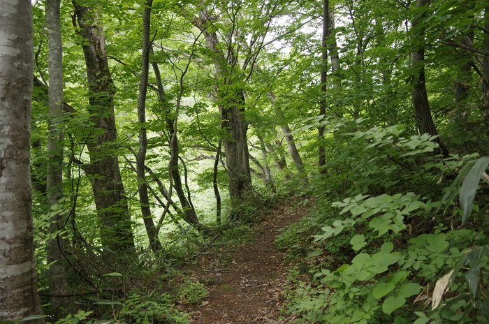 d0237340_2303438.jpg