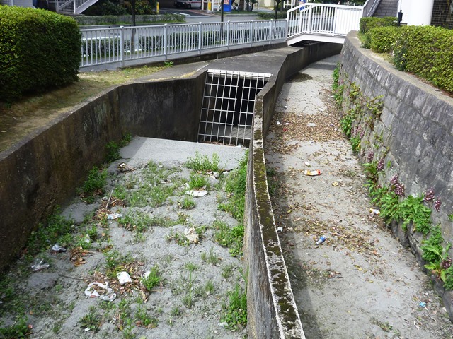 e0027240_1626169.jpg