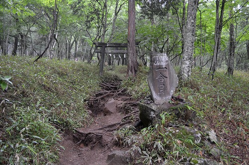 低山登山　男体山・・・_f0207943_15414930.jpg