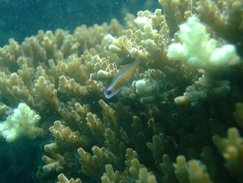 b0124144_20151252.jpg