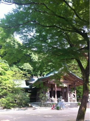 竈門神社_d0193045_19322270.jpg