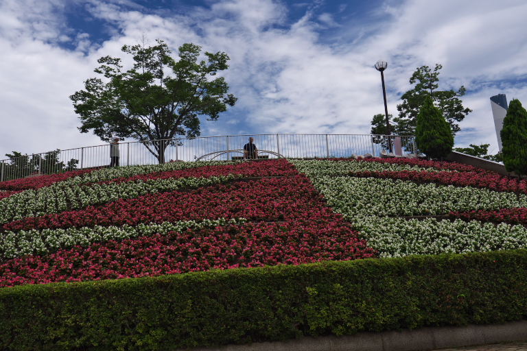 相模原麻溝公園　　2013-6-22_d0237959_18251724.jpg