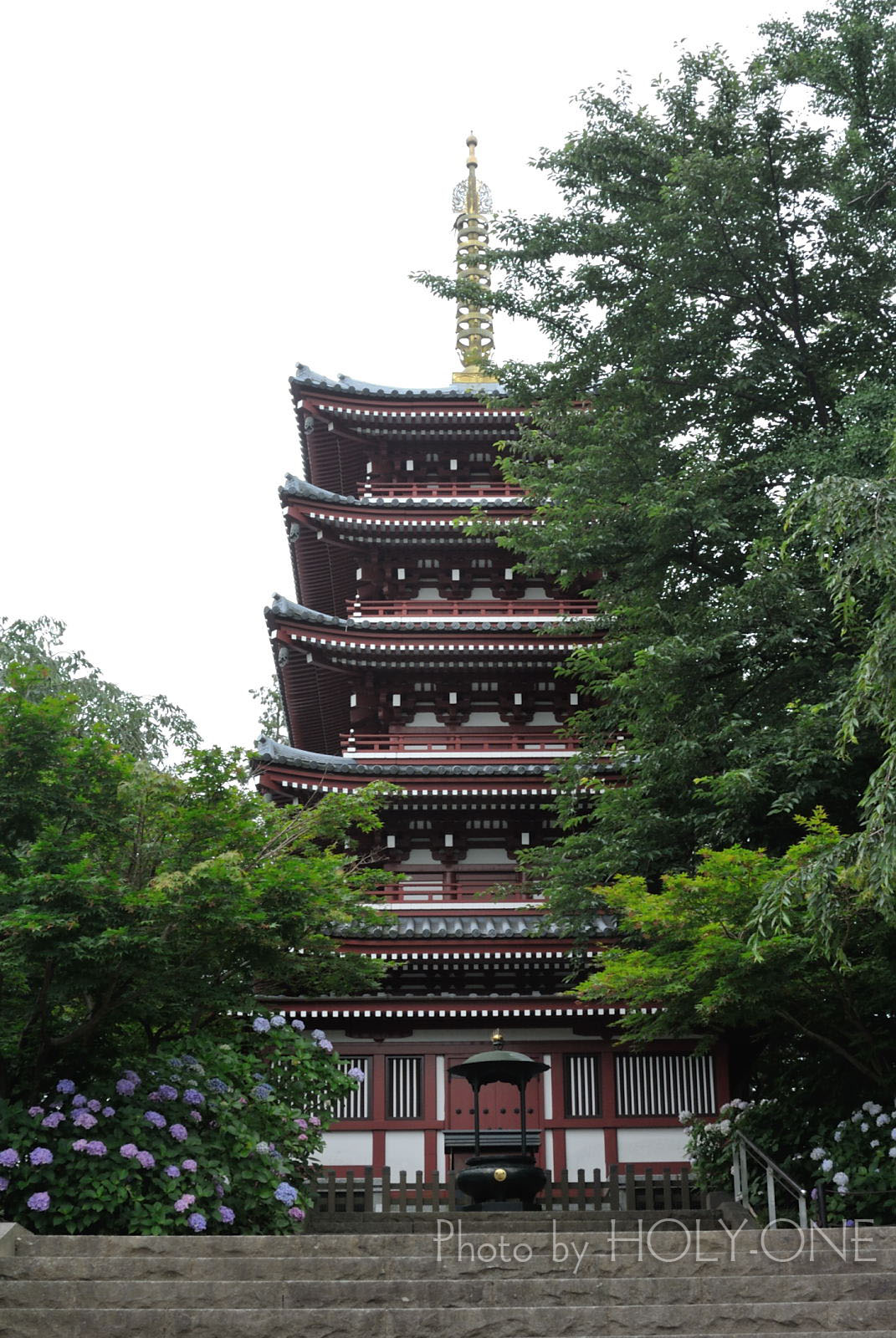 あじさい寺 本土寺に撮影行ってきました Holy One あじさい寺 本土寺に撮影行ってきました Holy One