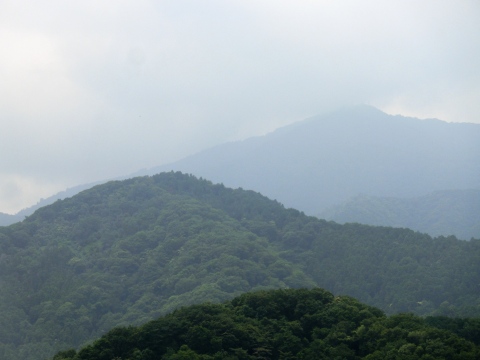 e0045768_21371555.jpg