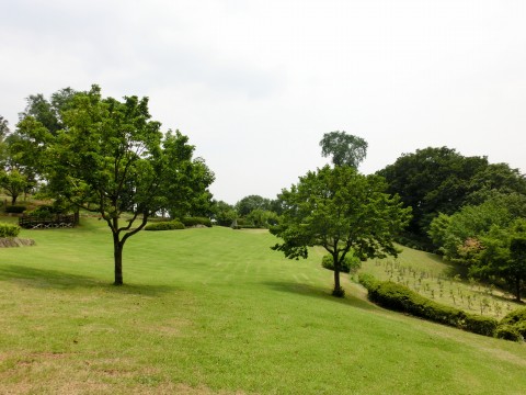e0045768_21395541.jpg