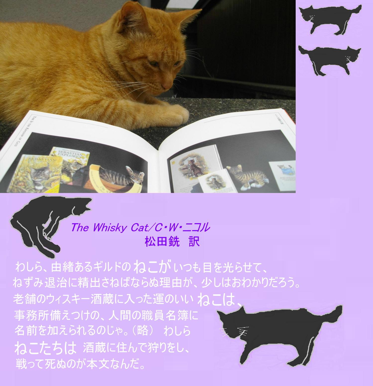 須磨章「猫は犬より働いた」_e0265768_23103263.jpg