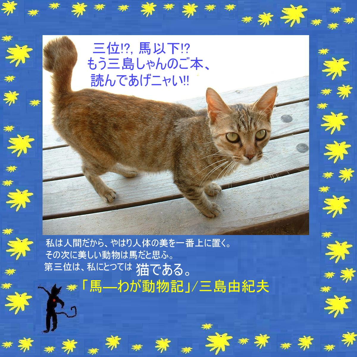 須磨章「猫は犬より働いた」_e0265768_23104887.jpg