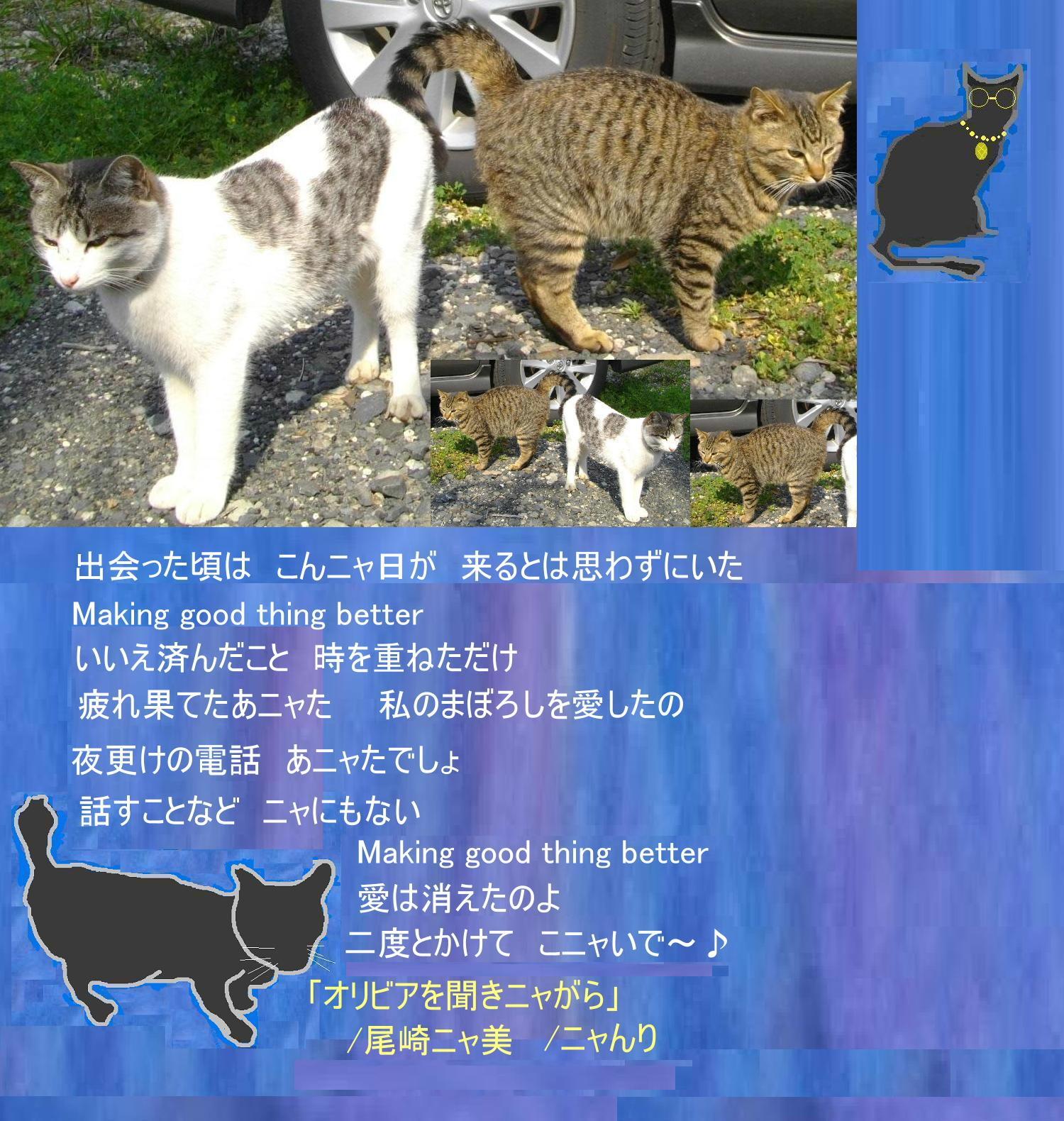 須磨章「猫は犬より働いた」_e0265768_23112914.jpg