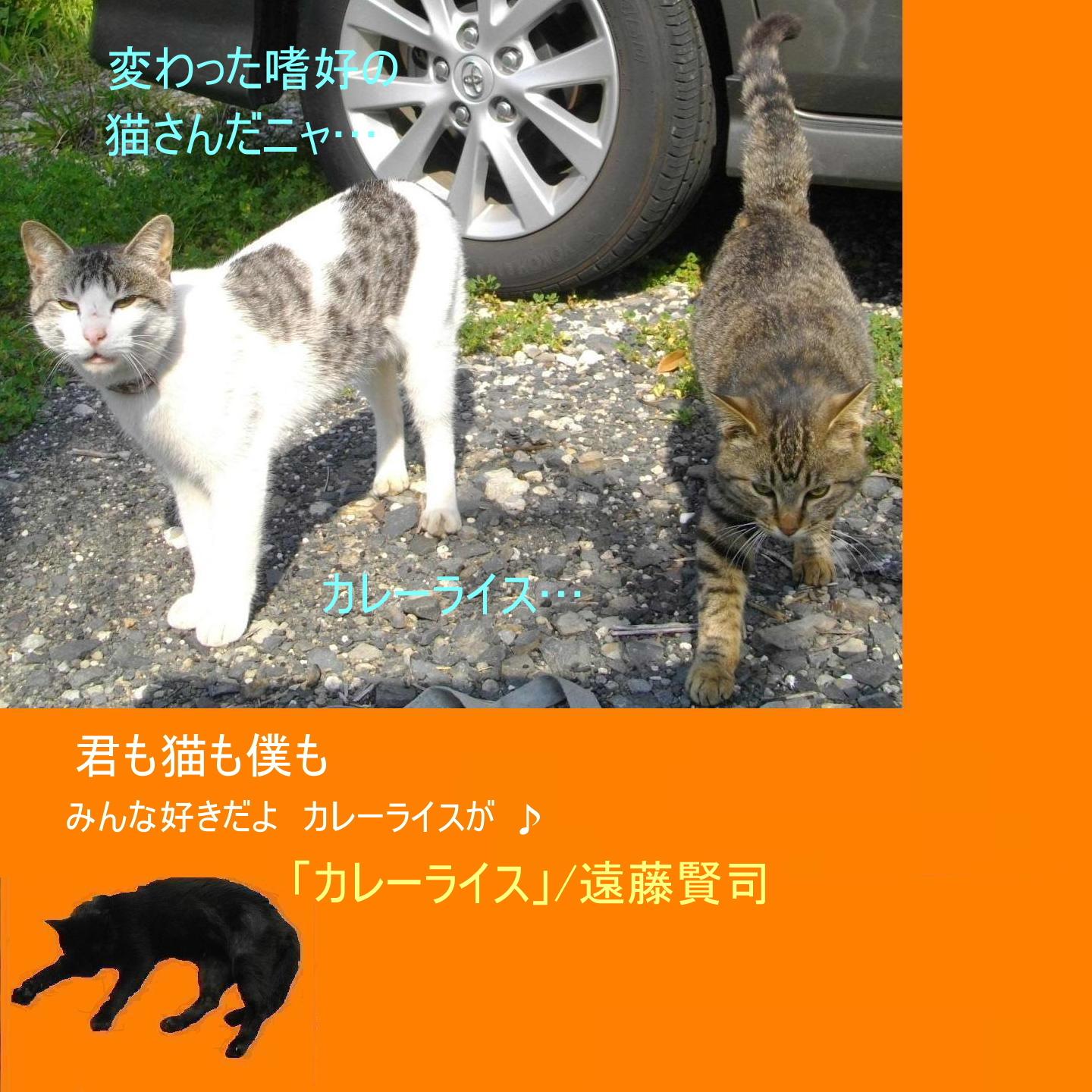 須磨章「猫は犬より働いた」_e0265768_23113544.jpg