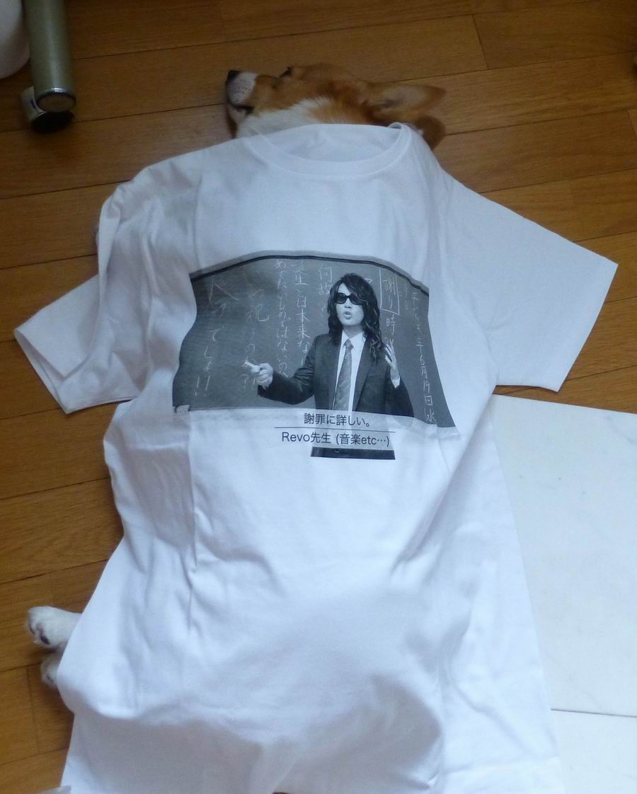 サンホラ Revo】 平日に生まれてごめんねTシャツ 2021・2024