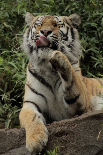 a0188771_23294839.jpg