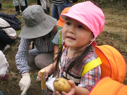 未就園児親子登園　じゃがいも掘り_b0277979_19171662.jpg