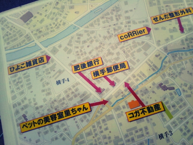 ひよこ雑貨店広告看板とめだかの餌と日々とアップルパイ_c0246783_18144716.jpg
