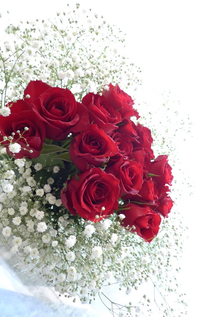 奥様のお誕生日 赤バラとかすみ草の花束 札幌 花屋 Mell Flowers
