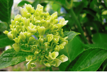 f0212993_9273013.gif