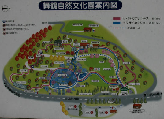 舞鶴自然文化園のアジサイ展を観る_f0237893_18155224.jpg