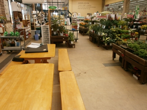 d0000995_22255933.jpg