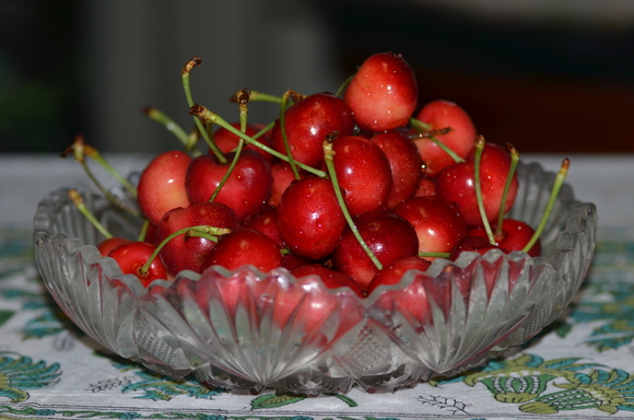 a0288500_196244.jpg
