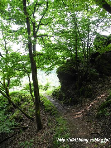 気分は山ガ～ルで野の花観賞　(3)バート・ベアトリッヒ_d0224200_1921141.jpg