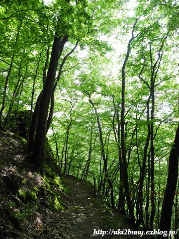 気分は山ガ～ルで野の花観賞　(3)バート・ベアトリッヒ_d0224200_19251018.jpg