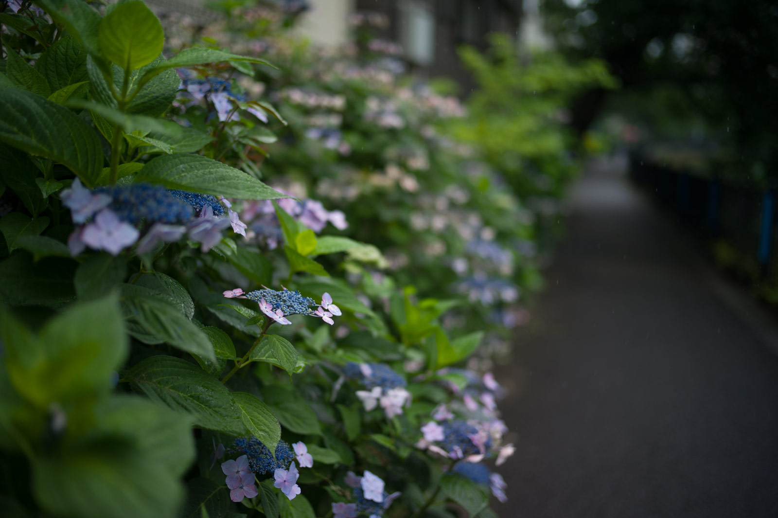 写真展後…_a0271402_9272464.jpg