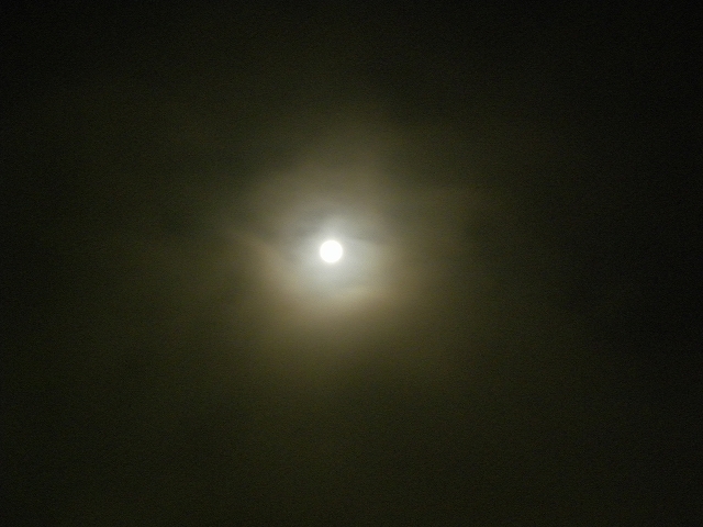 b0147203_2394110.jpg