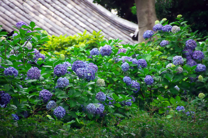 a0263109_13491771.jpg