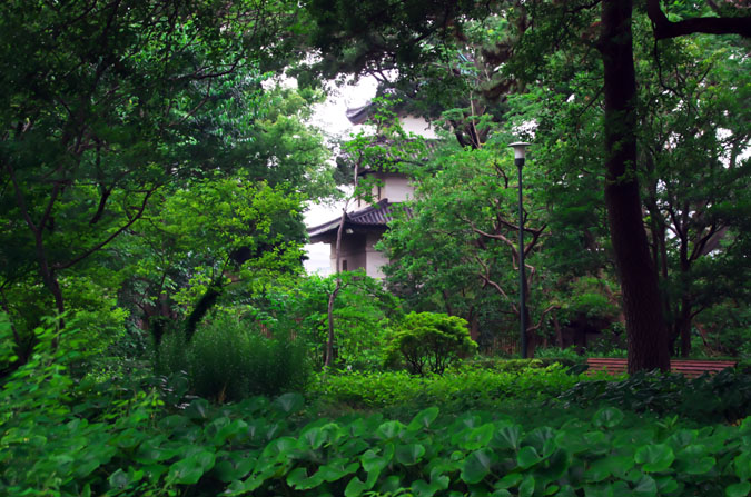 a0263109_13493368.jpg